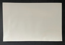 Load image into Gallery viewer, 47019770
