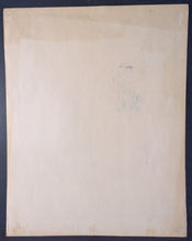 Load image into Gallery viewer, 43943713
