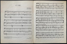 Load image into Gallery viewer, 45190568
