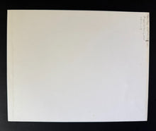 Load image into Gallery viewer, 47440749
