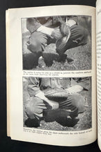 Load image into Gallery viewer, 46909196
