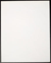 Load image into Gallery viewer, 47330622
