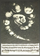 47750037