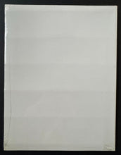 Load image into Gallery viewer, 43724587
