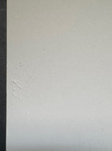Load image into Gallery viewer, 45172685
