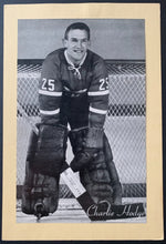 Load image into Gallery viewer, 44986759
