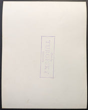 Load image into Gallery viewer, 43876581
