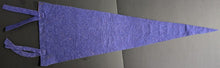 Load image into Gallery viewer, 1950s Winnipeg Blue Bombers Vintage CFL Football Team Logo Pennant
