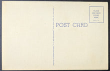 Load image into Gallery viewer, 45856499
