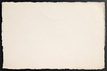 Load image into Gallery viewer, 47053538
