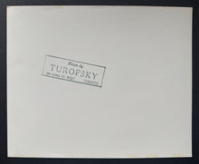 Load image into Gallery viewer, 45151272
