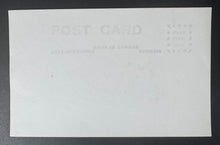 Load image into Gallery viewer, 44693383
