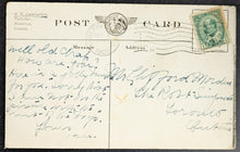 Load image into Gallery viewer, 46223245
