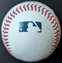 Load image into Gallery viewer, 47341787
