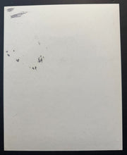 Load image into Gallery viewer, 43690141
