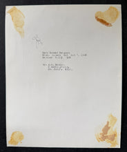 Load image into Gallery viewer, 47019742
