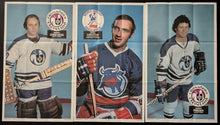 Load image into Gallery viewer, 1973-74 World Hockey Association Complete Set Of 20 Vintage Posters Gordie Howe
