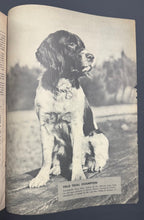 Load image into Gallery viewer, 45856512
