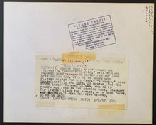 Load image into Gallery viewer, 47440788
