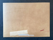 Load image into Gallery viewer, 47100682
