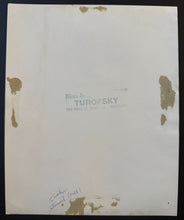 Load image into Gallery viewer, 43814298
