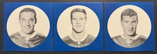 Load image into Gallery viewer, 1966-67 Full Set Of 10 Hockey Talks Esso Records NHL Original Caravan Portfolio
