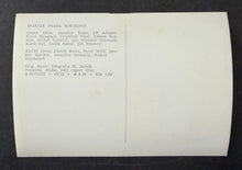 Load image into Gallery viewer, 47019721
