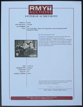 Load image into Gallery viewer, 47301531
