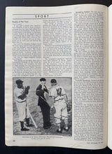 Load image into Gallery viewer, 44462788
