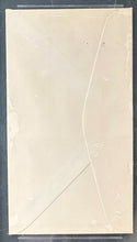 Load image into Gallery viewer, 47760327
