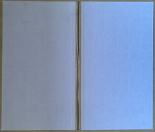 Load image into Gallery viewer, 45113786
