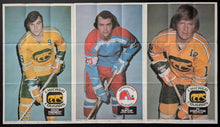 Load image into Gallery viewer, 1973-74 World Hockey Association Complete Set Of 20 Vintage Posters Gordie Howe
