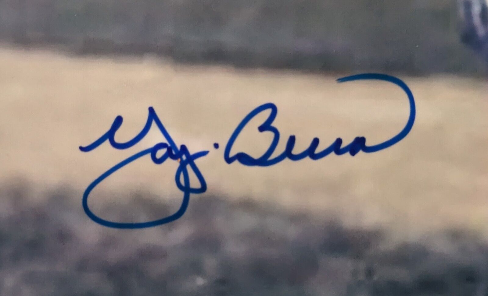 Yogi Berra Autographed New York Yankees Photo Signed MLB HOF COA 
