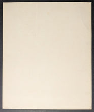 Load image into Gallery viewer, 46437548
