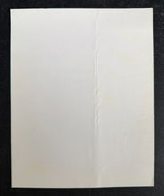 Load image into Gallery viewer, 47255777
