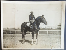 Load image into Gallery viewer, 44383636
