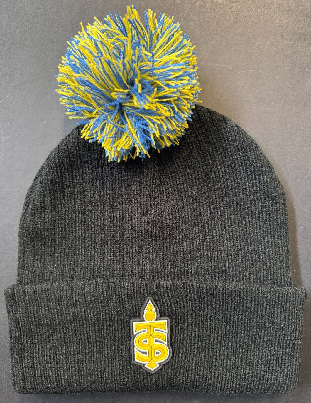 PWHL Professional Women's Hockey League Toronto Sceptres New Logo Unused Hat