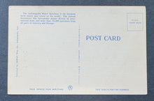 Load image into Gallery viewer, 45312942

