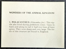 Load image into Gallery viewer, 1950s Wonders Of The Animal Kingdom Cards Set Of 400 With 1 Wrapper Vintage
