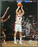 Jose Calderon Toronto Raptors Jumper Photo Autographed / Signed Basketball NBA