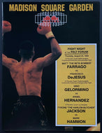 1988 Boxing Program Matt Farrago Francisco De Jesus Madison Square Garden
