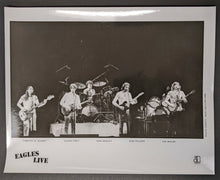 Load image into Gallery viewer, 1980 Type 1 Photo The Eagles Concert Tour Vintage Jack Sallow Photographer
