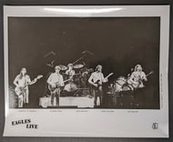 1980 Type 1 Photo The Eagles Concert Tour Vintage Jack Sallow Photographer