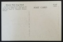 Load image into Gallery viewer, 3 Vintage Postcard Triple Crown Horse Racing Tracks including Churchill Downs
