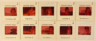 1976 MLB Baseball American League 35mm Slides (10) Cleveland Indians Robinson