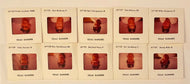 1977 MLB Baseball American League 35mm Slides (10) Texas Rangers Bert Blyleven