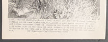 Load image into Gallery viewer, 1948 PGA Cavalier Tournament Wire Photo Gene Sarazen Golf Vintage Sports Picture

