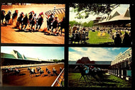 1963 Saratoga Race Track Postcard Vintage Horse Racing Saratoga Springs New York