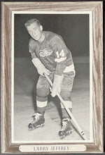 Load image into Gallery viewer, Vintage Larry Jeffrey Group 3 Bee Hive Photo NHL Hockey Detroit Red Wings
