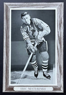 1950-64 Beehive Corn Syrup Group 3 Hockey Photo Eric Nesterenko NHL